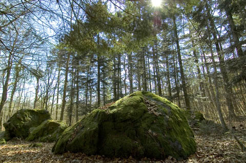 10_cromlech-la-praz